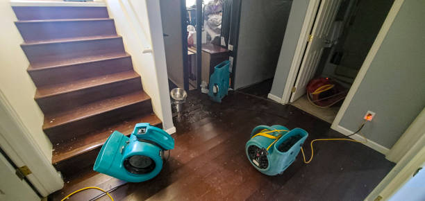 Best Flood damage cleanup  in Moncks Corner, SC