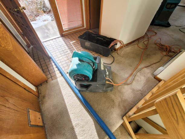 Best Water damage restoration process  in Moncks Corner, SC