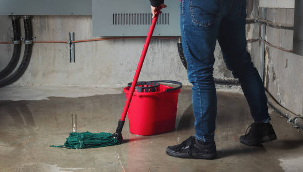 Best Flood restoration services  in Moncks Corner, SC