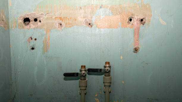 Best Sewage cleanup and water damage restoration  in Moncks Corner, SC