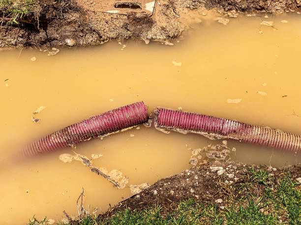 Best Water damage cleanup near me  in Moncks Corner, SC