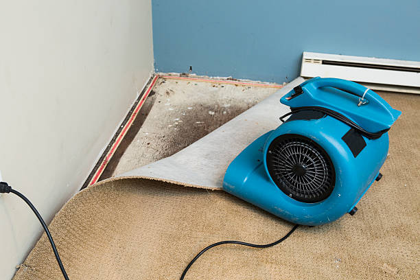 Best Local water damage restoration  in Moncks Corner, SC